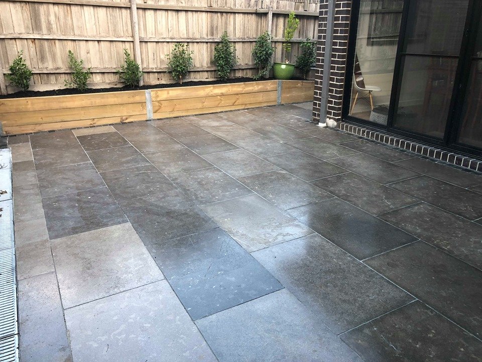 61771661_411068506152326_3418039771358822400_n